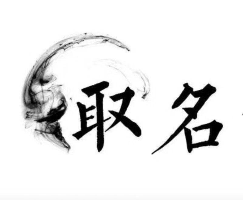  那曲地宝宝取名 大师一对一人工起名